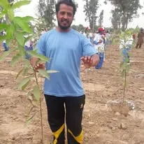 Green Seekers Activity